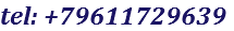 tel: +79611729639